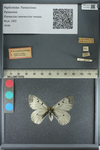 Media type: image;   Entomology 179905
